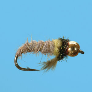 BEAD CADDIS LARVA (BN030)
