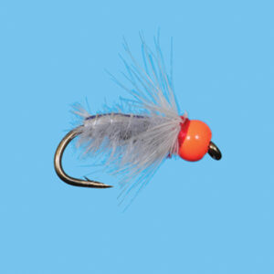 HOT HEAD SOW BUG (BN154)