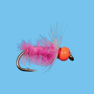 HOT HEAD SOW BUG (BN154) - Image 2