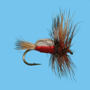 HUMPY (D295)