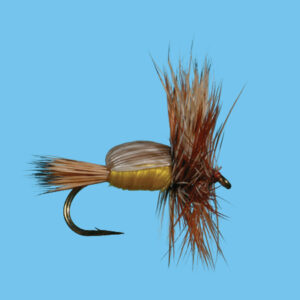 HUMPY (D295) - Image 2