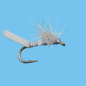 MOTHER SHUCKER (D362) - Image 3