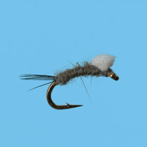 RS-2 FOAM WING (E052) - Image 2