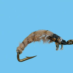 CADDIS CRAWLING (NDS045) - Image 2