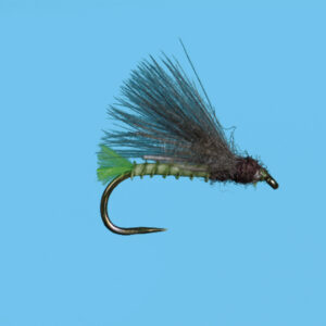 FERTILE CADDIS (RD180F)