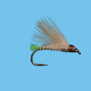 FERTILE CADDIS (RD180F) - Image 2