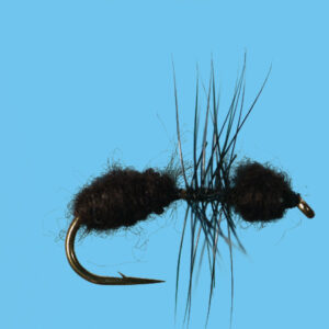 ANT (T010)