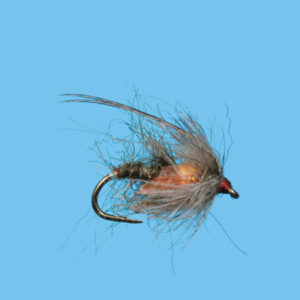 TUNG. TRANSLUCENT PUPA (TN151)