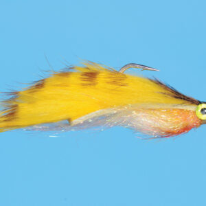 BELLYACHE MINNOW (S022) - Image 3