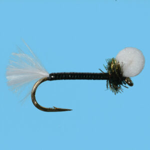 MIDGE WINKER (SP030)