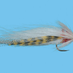 WHIZZLER (SW170) - Image 2