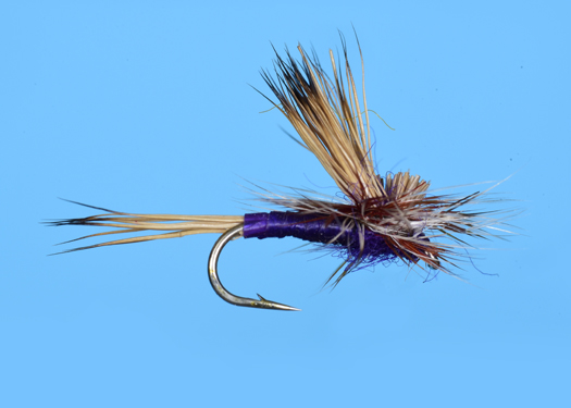 TILWING - PURPLE HAZE (D387PR)