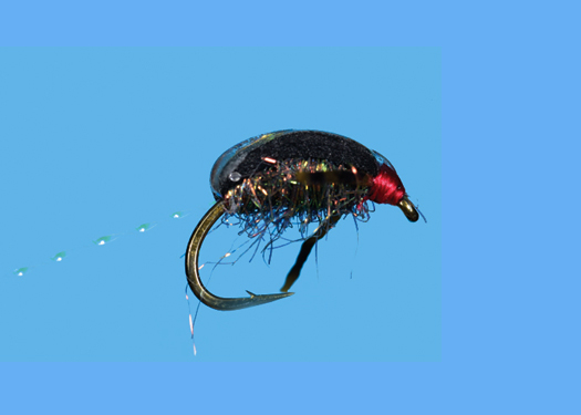 WATER BOATMAN (S1097)