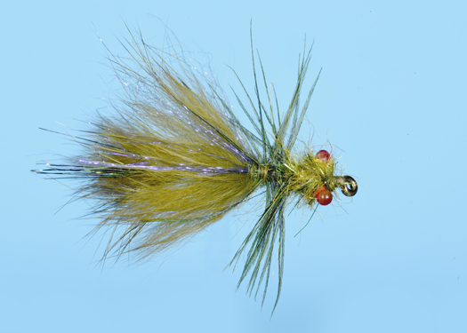 DRAGON FLY NYMPH (N0575)